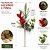 Kit 3 Pick Natalino Azevinho Vermelho com Pinha Nevada e Folhagens Verdes Decorativo 16cm - Imagem 3