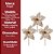 Kit 3 Flores Bico de Papagaio Natalina Luxo Champanhe Tecido Frisado Glitter 33x33cm Pick Decorativo - Imagem 9