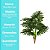 Planta Imbé Artificial Permanente 90cm com Tronco e 7 Folhas Verdes Decorativas - Imagem 10