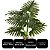Planta Imbé Artificial Permanente 90cm com Tronco e 7 Folhas Verdes Decorativas - Imagem 6