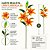 Haste Lírio Permanente 3D Silicone Laranja 100cm com 3 Flores e 1 Botão - Imagem 2