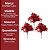Kit 3 Picks Natalinos Decorativos Folhagens Vermelhas com Glitter 20cm - Imagem 7