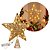 Ponteira Aramada Estrela 3D Iluminada Natal LED Dourada e Champanhe 30cm Base Espiral - Tuut - Imagem 5