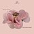 Kit 50 Forminhas Floratta Papel - Rosa - Imagem 5