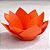 Kit 50 Forminhas Lottus Papel - Laranja - Imagem 4
