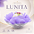 Forminha Lunita Papel com tela - Lilás com prata - Imagem 1