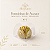 Kits forminhas de Acetato Nº 7 Transparente para Doces Brigadeiro Trufa Bombom Festa Premium - Imagem 1