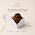 Kit forminhas de Papel Nº 7 Doce pétala Branca - Imagem 1