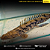 Polypterus Endlicheri 7-10cm - Imagem 1