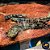 Polypterus Endlicheri 8-10cm - Imagem 3