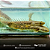 Polypterus Ansorgii 10-12cm - Imagem 1
