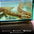 Polypterus Ansorgii 10-12cm - Imagem 3