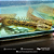 Polypterus Ansorgii 10-12cm - Imagem 4