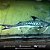 Bagre Lince 15-20cm - Imagem 1