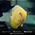 Severum Gold 2-5cm - Imagem 7