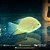 Severum Gold 2-5cm - Imagem 6