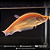 Faca Ghost Albino 20cm - Imagem 2