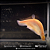 Faca Ghost Albino 20cm - Imagem 3