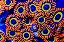 Zoanthus Fruit Loops - Imagem 1