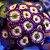 Coral Palythoa Infusion Rainbown - Imagem 1