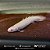 Polypterus Senegalus Albino 11-15cm - Imagem 1