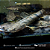 Polypterus Endlicheri Selvagem 30-35cm - Imagem 3