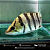 Datnioides Polota 4-8cm - Imagem 10
