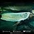 Aruanã Prata (Osteoglossum bicirrhosum) 14-17cm - Imagem 2