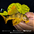Cascudo Picota de ouro L014 10-15cm - Imagem 3