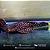 Cascudo pepita de ouro L177 (Baryancistrus xanthellus) 6-9cm - Imagem 3