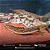 Polypterus Palmas (Verdadeiro) 23-27cm - Imagem 1