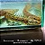 Polypterus Ansorgii 15-20cm - Imagem 1
