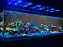 Orphek Atlantik Icon Reef Wifi 235w (78 Leds De 5w) - Imagem 4