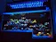 Orphek Atlantik Icon Reef Wifi 235w (78 Leds De 5w) - Imagem 6