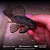 Cascudo Zebra King 12-16cm - Imagem 4