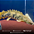 Polypterus Endlicheri WC 45-50cm - Imagem 3