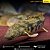 Polypterus Endlicheri WC 45-50cm - Imagem 5