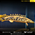 Polypterus Endlicheri WC 45-50cm - Imagem 4