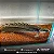 Polypterus Senegalus 5-6cm - Imagem 3