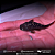 Pseudancistrus Genisetiger 5-8cm - Imagem 1