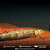Polypterus Senegalus Marble 17-22cm - Imagem 2
