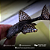 Acanthicus Adonis Pleco (L155) 12-16cm - Imagem 1