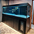 Aquário Elegance Black - MDF - Imagem 2