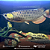 Aruanã Crossback Golden 14-18cm - Imagem 1