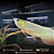 Aruanã Crossback Golden 14-18cm - Imagem 5