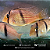 Acará Bandido (Guianacara Dacrya) 8-12cm - Imagem 1