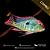 COMBO - 5 Geophagus Red Head Tapajos 4-7cm - Imagem 1
