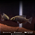 Paratilapia Poleni 6-10cm - Imagem 5