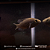 Paratilapia Poleni 6-10cm - Imagem 2