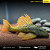 Hypostomus Luteus Dragon 40-45cm - Imagem 1